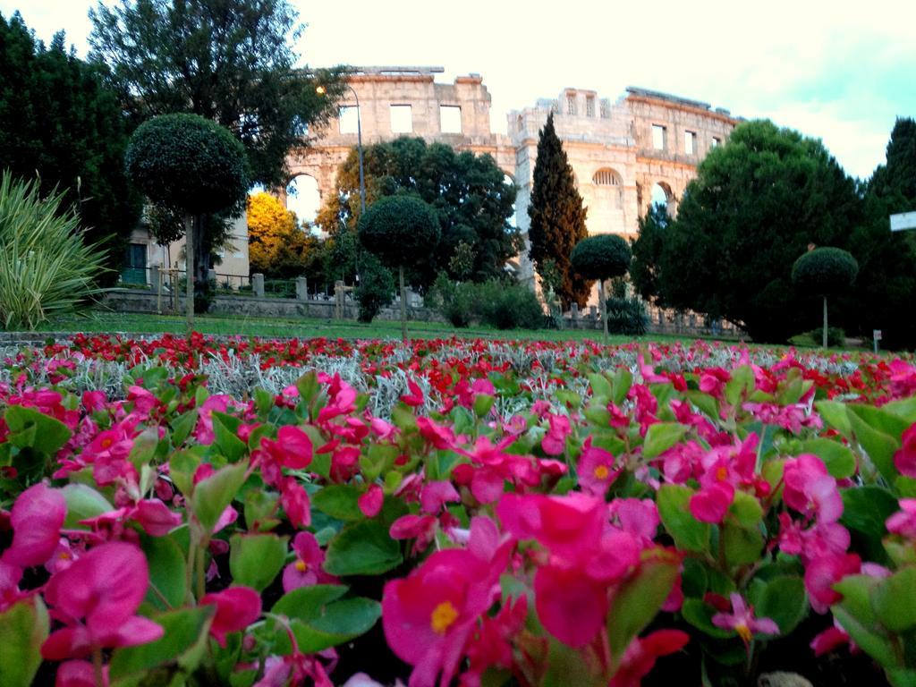 Amphitheater Apartment Pula Buitenkant foto